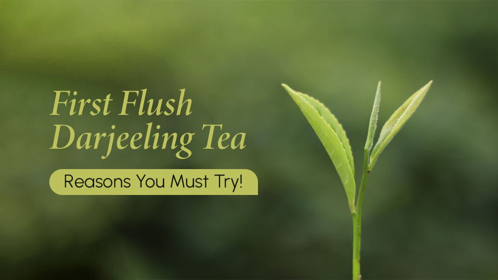 First Flush Darjeeling Tea: Reasons You Must Try!