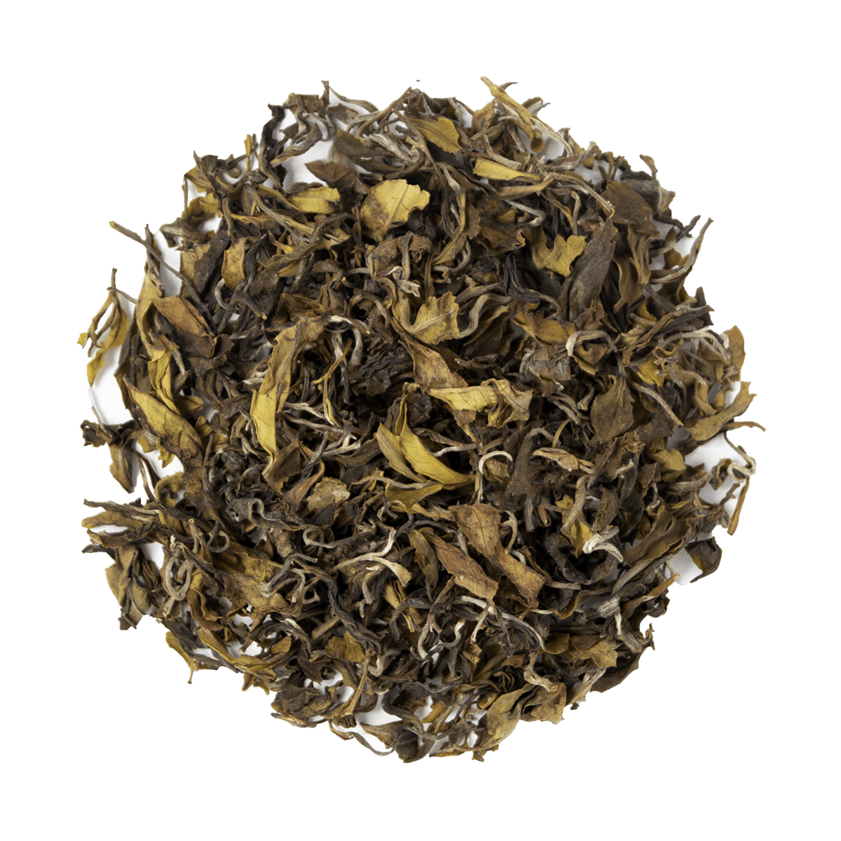 HIMALAYAN WONDER - chaichuntea