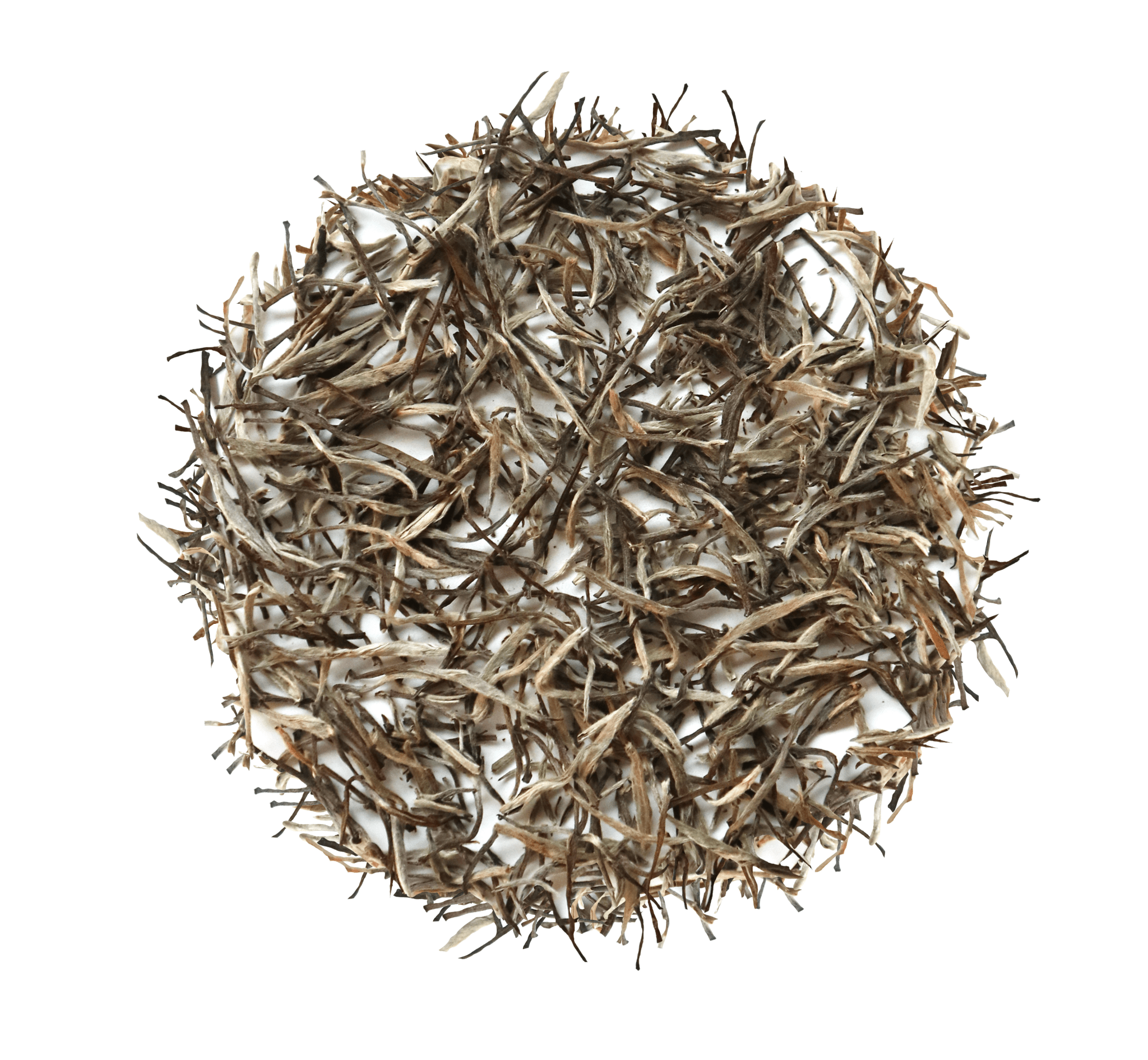 white tea dry leaves