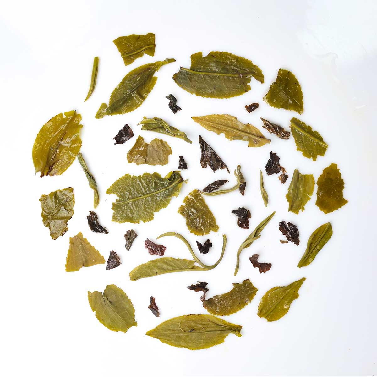 Fresh Mint Wave - Chai Chun