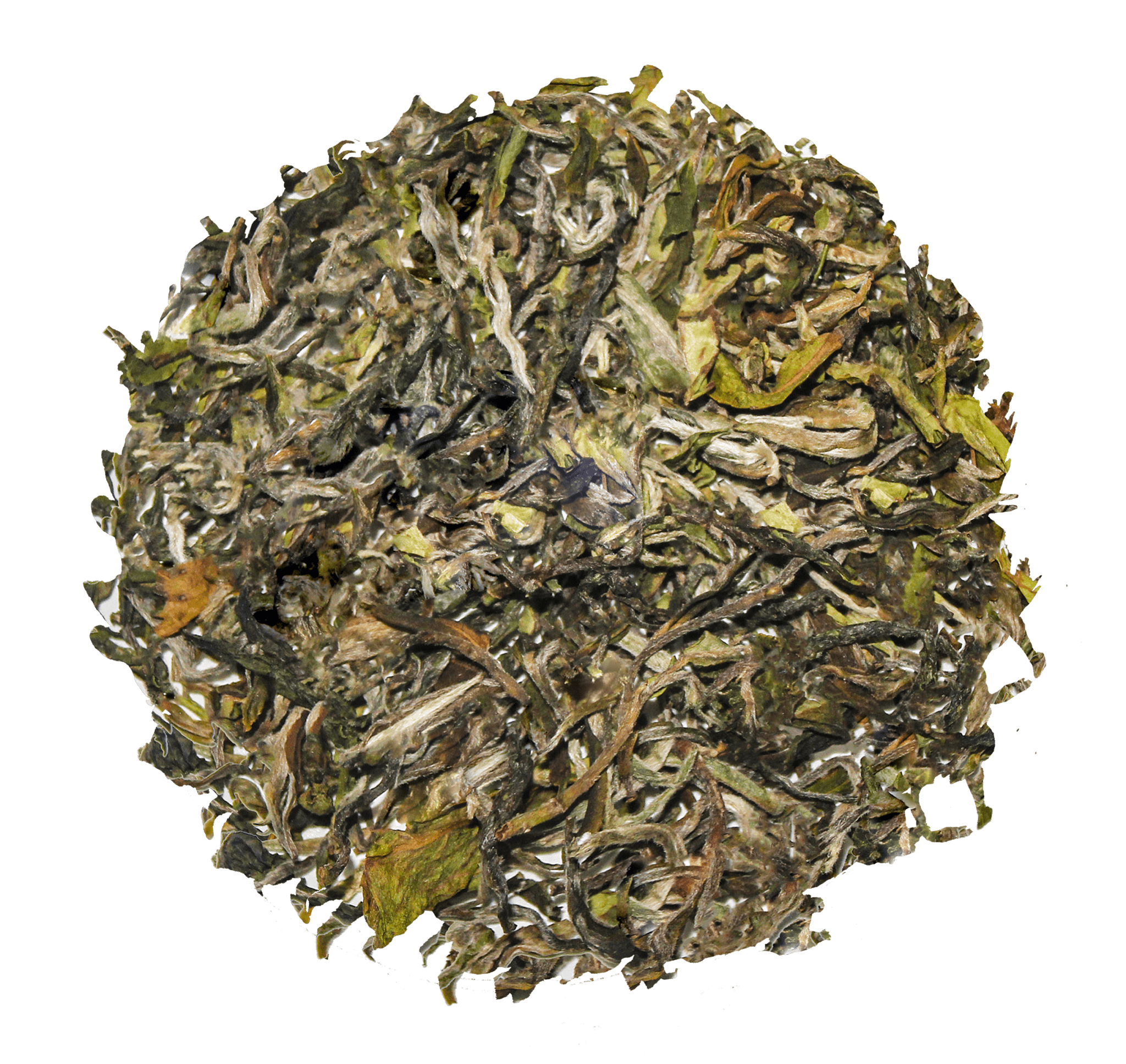 Candour First Flush Tea - Chai Chun