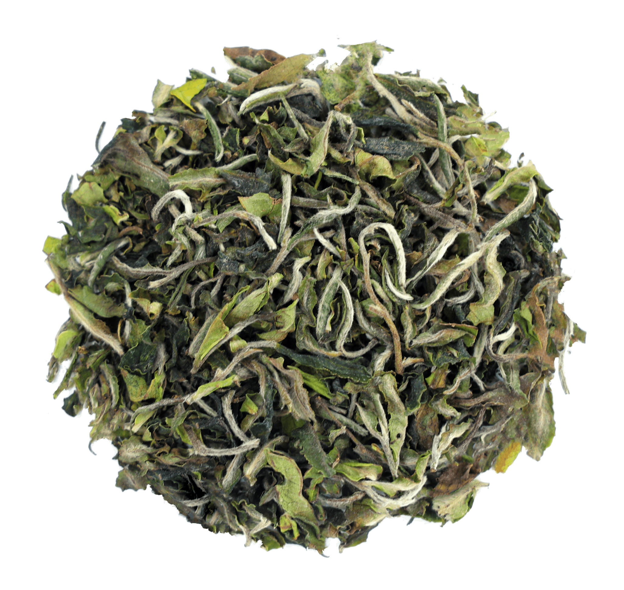 Mountain Breeze First Flush Tea - Chai Chun