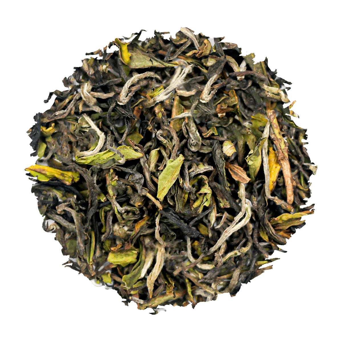 Majestic Darjeeling First Flush