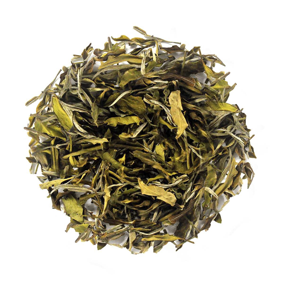 SIZZLING WHITE - chaichuntea